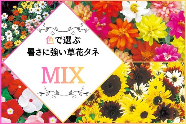 MIX