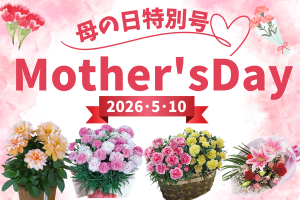 母の日ギフト