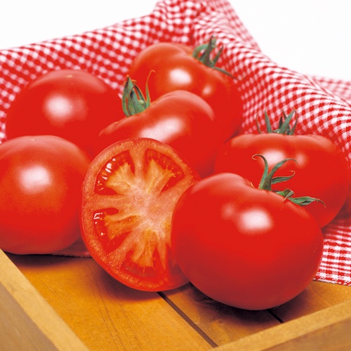 ホーム桃太郎EX