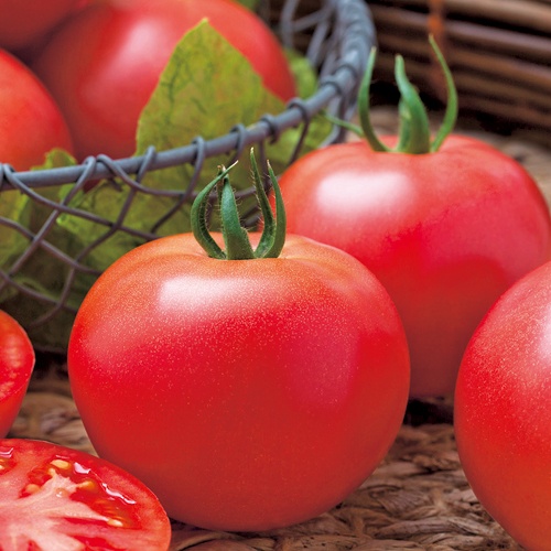 桃太郎ワンダー