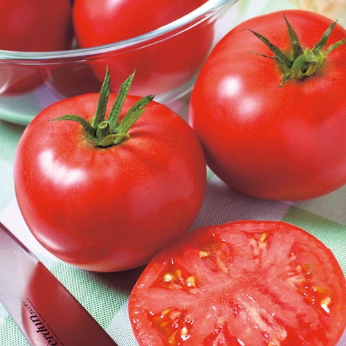 桃太郎ネクスト