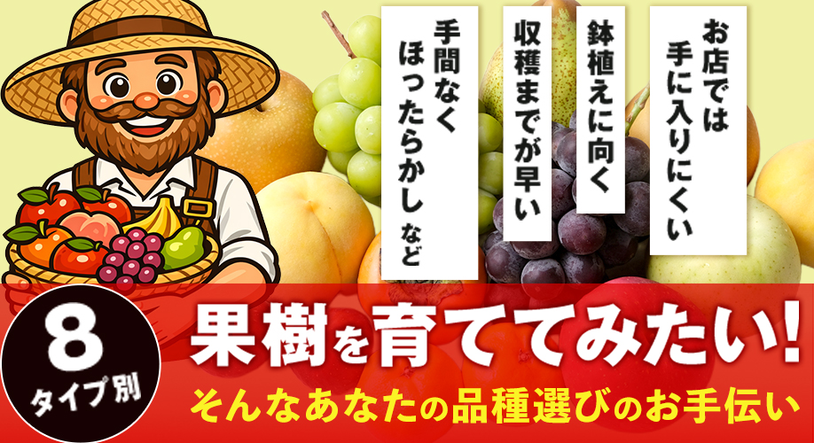 果樹選びお手伝い販売