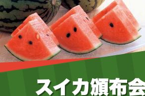 スイカ頒布会