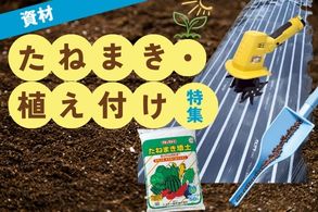 種まき・植え付け