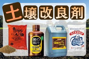土壌改良