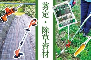 剪定・除草