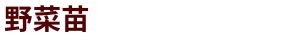 野菜苗