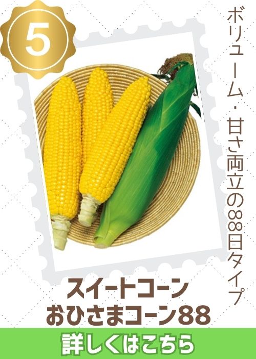 おひさまコーン８８