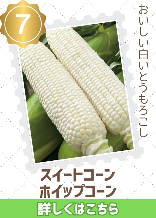スイートコーン　ホイップコーン