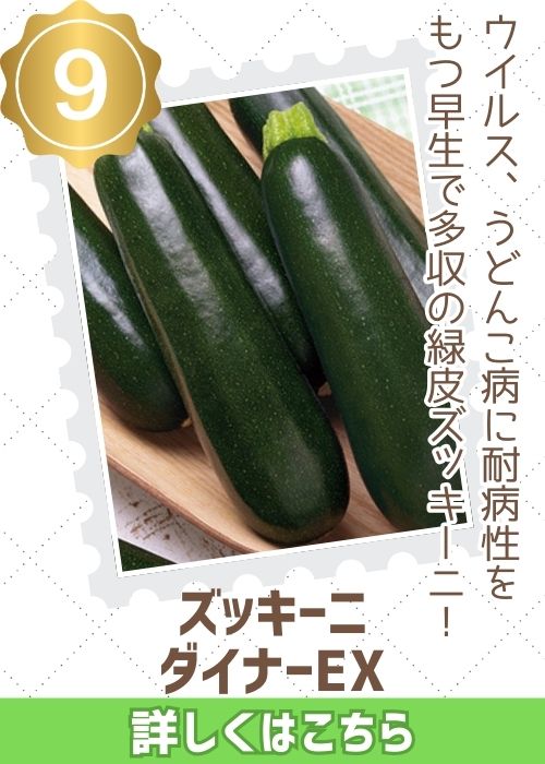 グリーンソード　オクラ