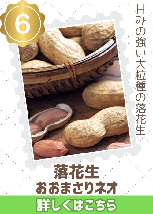 おおまさりネオ　落花生