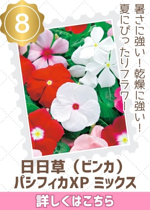 パシフィカＸＰミックス