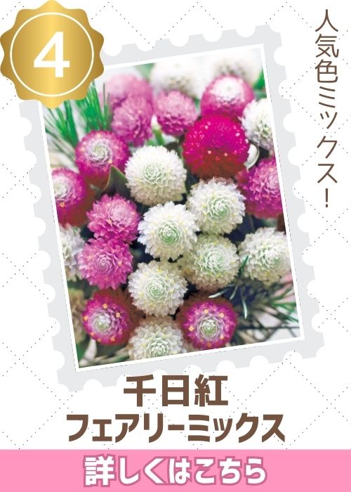 フェアリーミックス