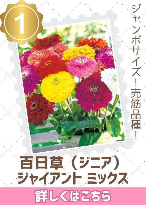 ジャイアントミックス