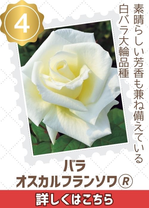 オスカルフランソワ