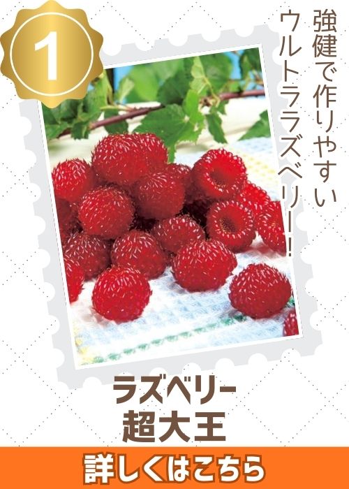 ウルトララズベリー超大王