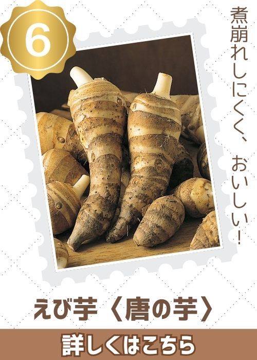 えび芋（唐の芋）