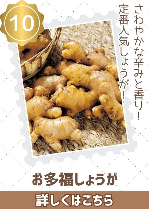 お多福しょうが