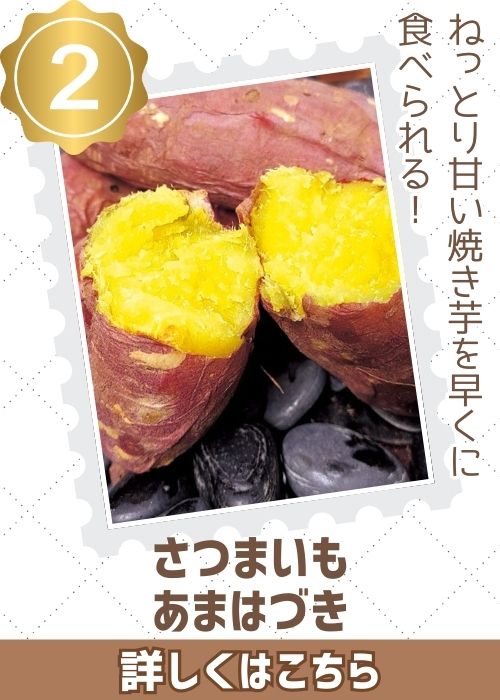 さつまいも苗　あまはづき