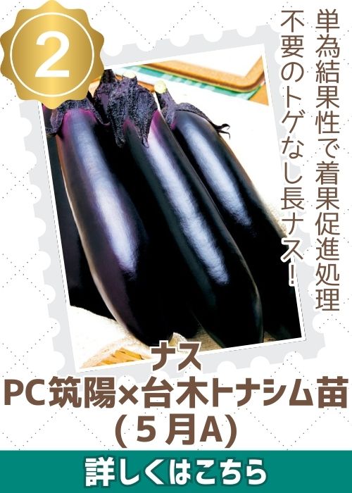 ＰＣ筑陽苗（５月Ａ）×台木トナシム苗