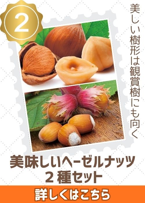 美味しいヘーゼルナッツ２種セット