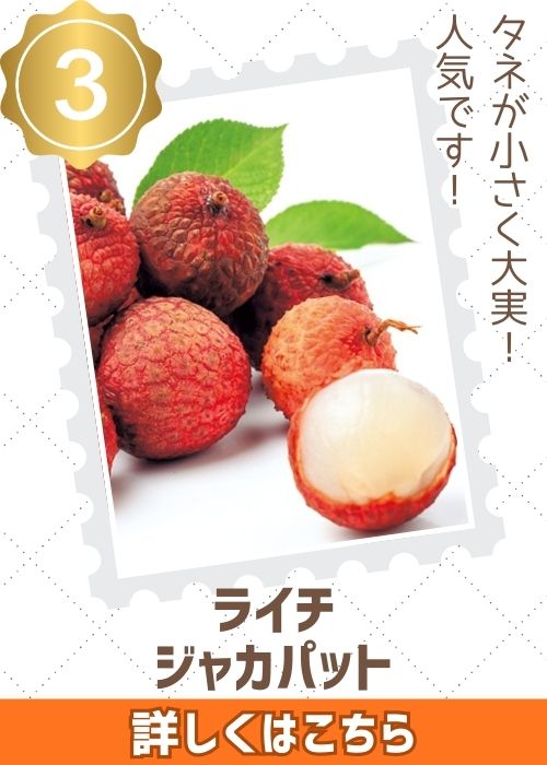 ライチジャカパット