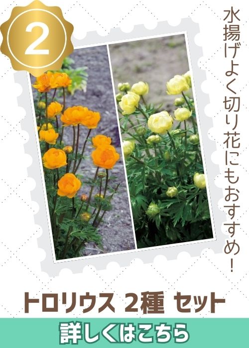 トロリウス２種セット