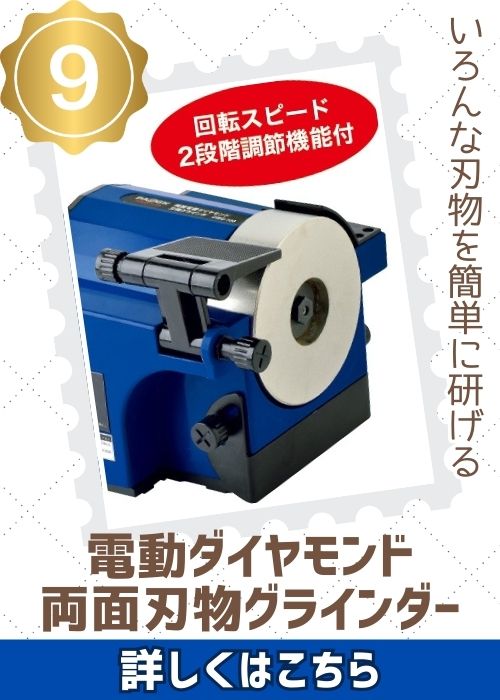 Ｐダイヤモンド両面刃物グラインダーDWG100