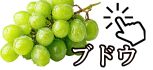 ブドウ