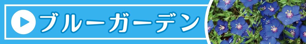 ブルーガーデン