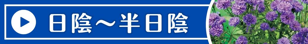 日陰～半日蔭