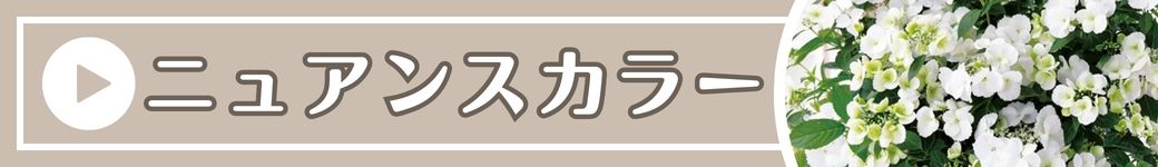 ニュアンスカラー