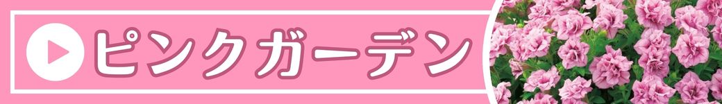 ピンクガーデン