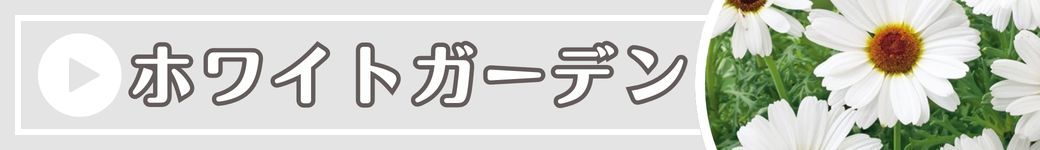 ホワイトガーデン