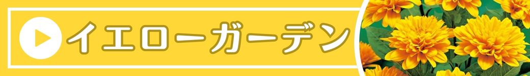 イエローガーデン