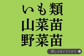 有用植物・野菜苗