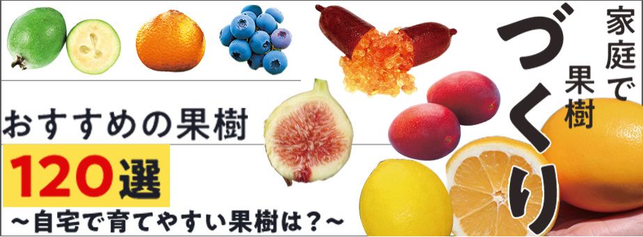 おすすめ120選