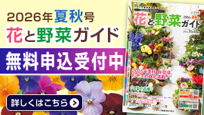 カタログ請求！