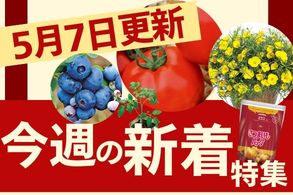 新着特集