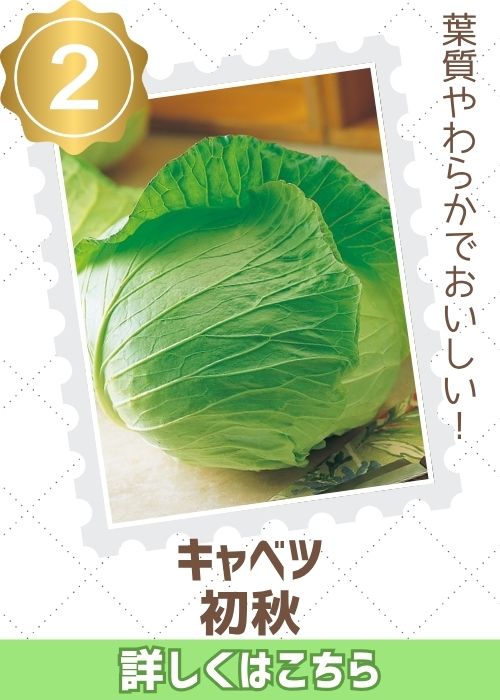 初秋