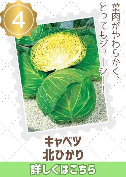 北ひかり
