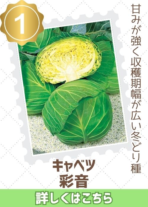 彩音