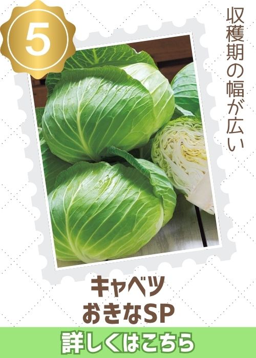 おきなSP
