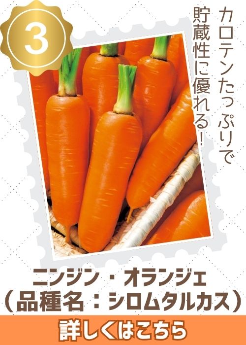 オランジェ