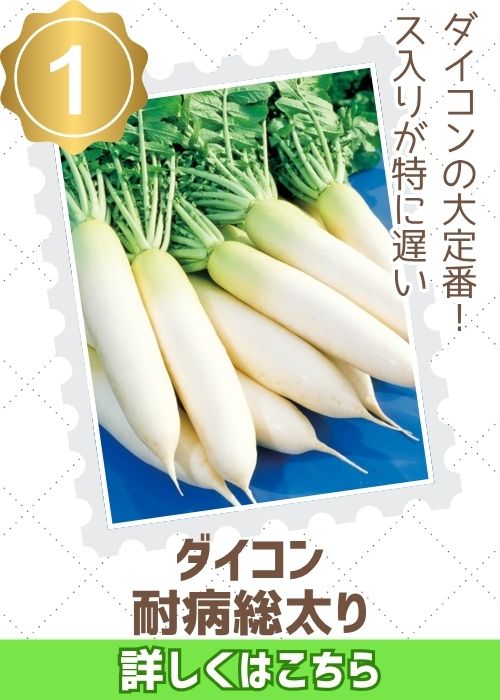 耐病総太り
