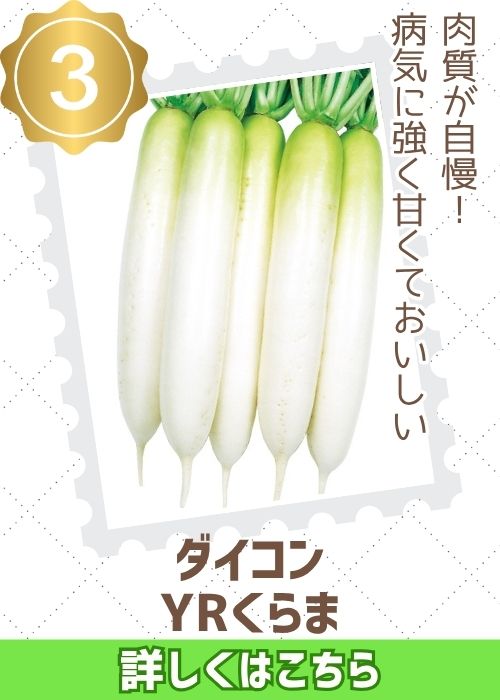 YRくらま