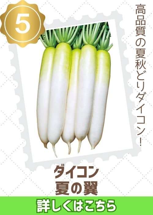 夏の翼