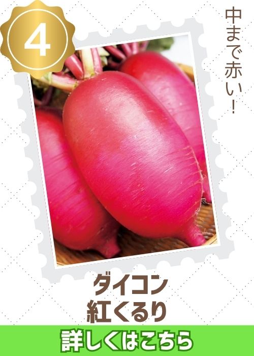 紅くるり