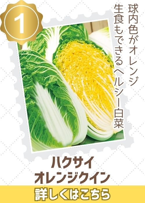 オレンジクイン