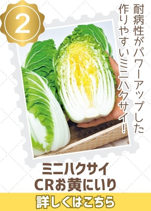 お黄にいり